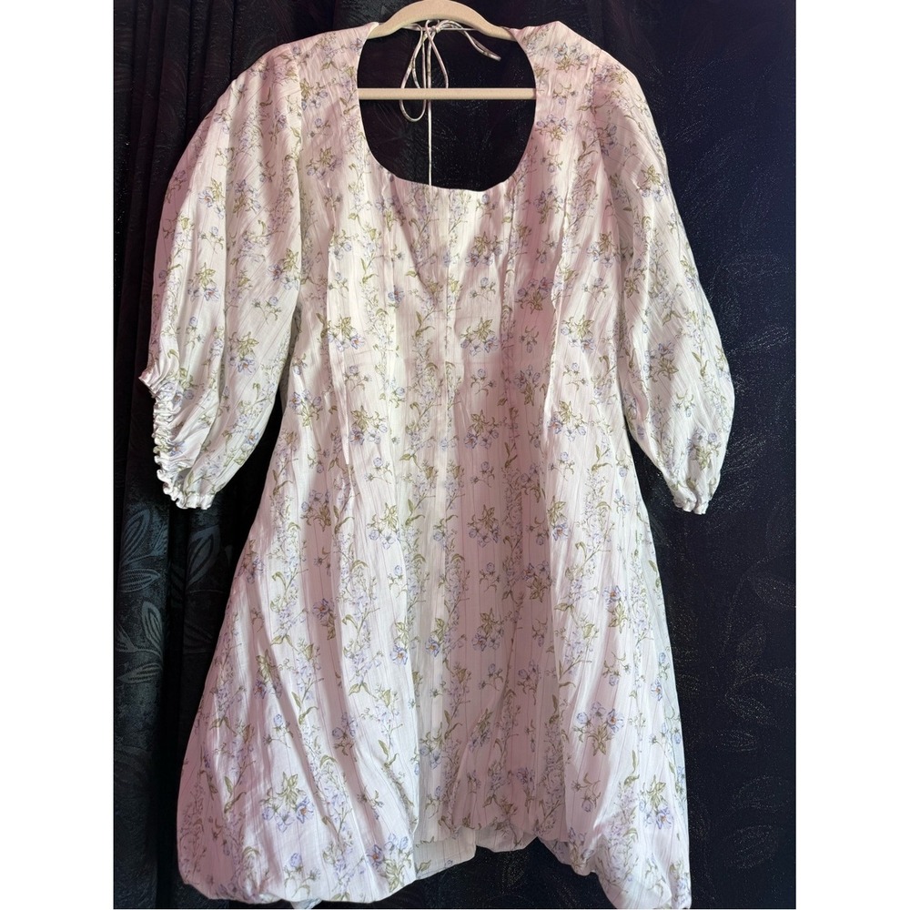 Brock Collection x H&M Floral Puff Sleeve Tie Back Dress Size M Cottagecore